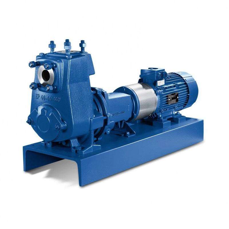 Horizontal Cryogenic Liquid Argon Pumping Liquid Pump With High Pressure Seal for Industry Gases Filling Stations Pompe Pompa Horizontal Cryogenic Liquid Argon Pumping Liquid Pump With High Pressure Seal for Industry Gases Filling Stations Pompe Pompa