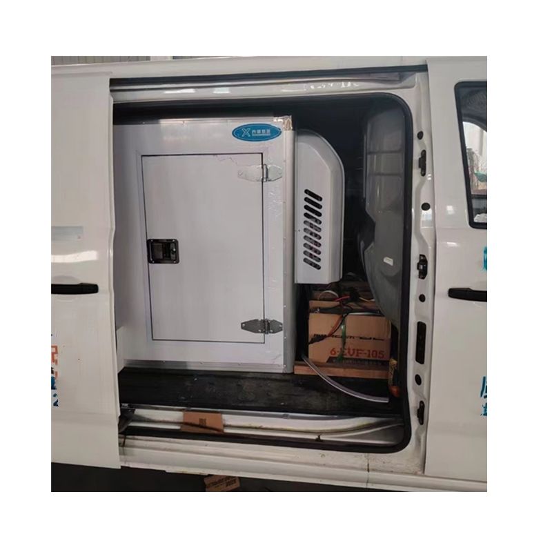 Custom Refrigeration Storage Box Installed Inside Van Frozen Container in Cargo Truck Transportation Custom Refrigeration Storage Box Installed Inside Van Frozen Container in Cargo Truck Transportation
